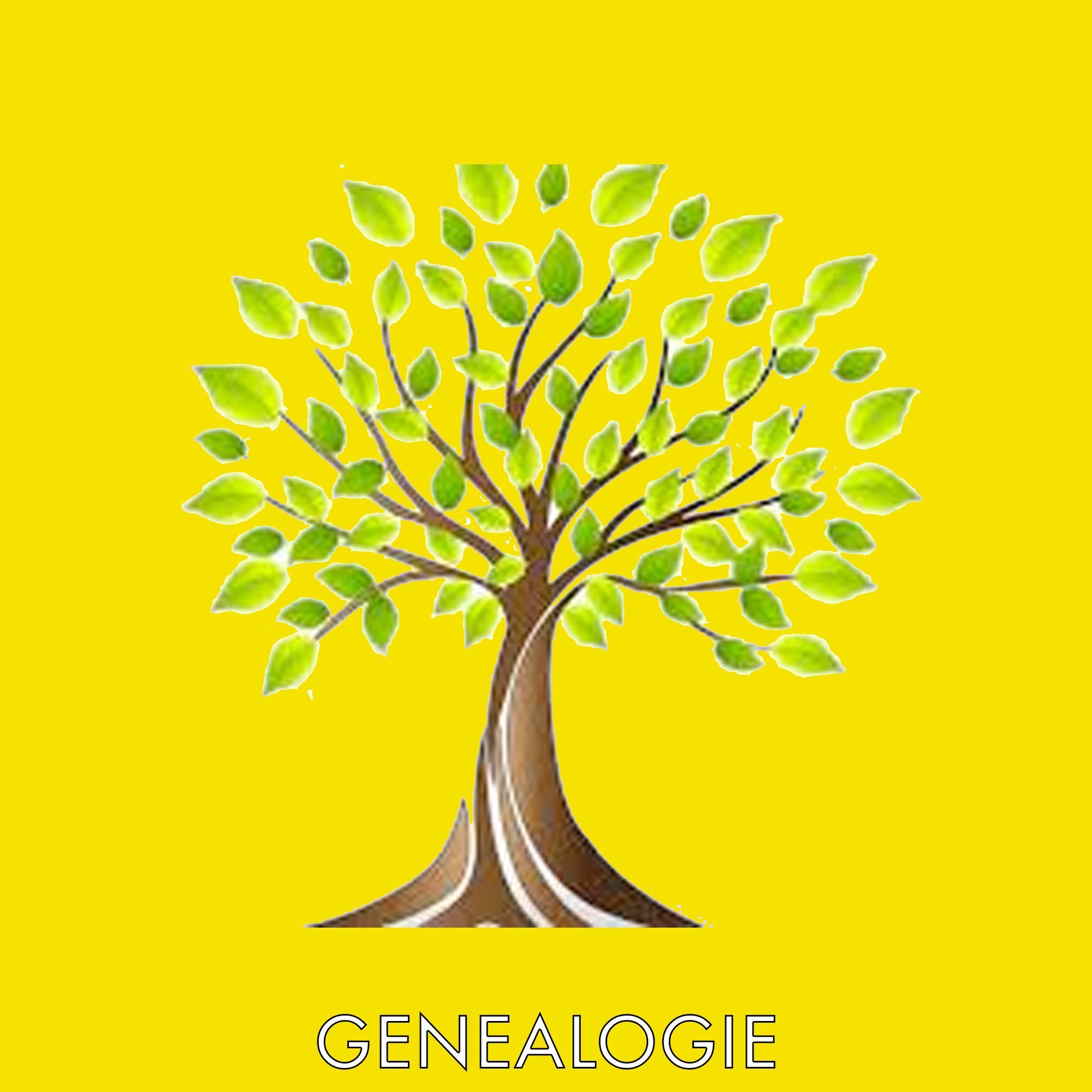 Genealogie